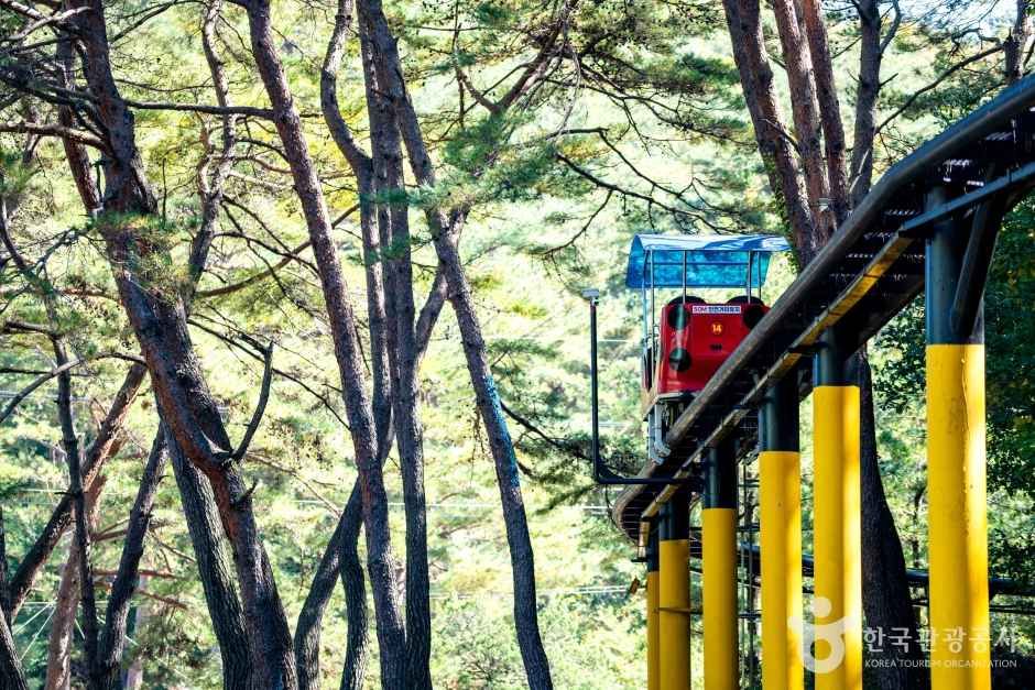 속리산테마파크 관광사진