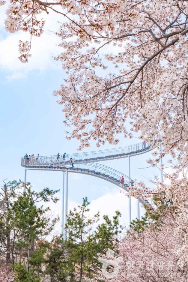 歓湖公園