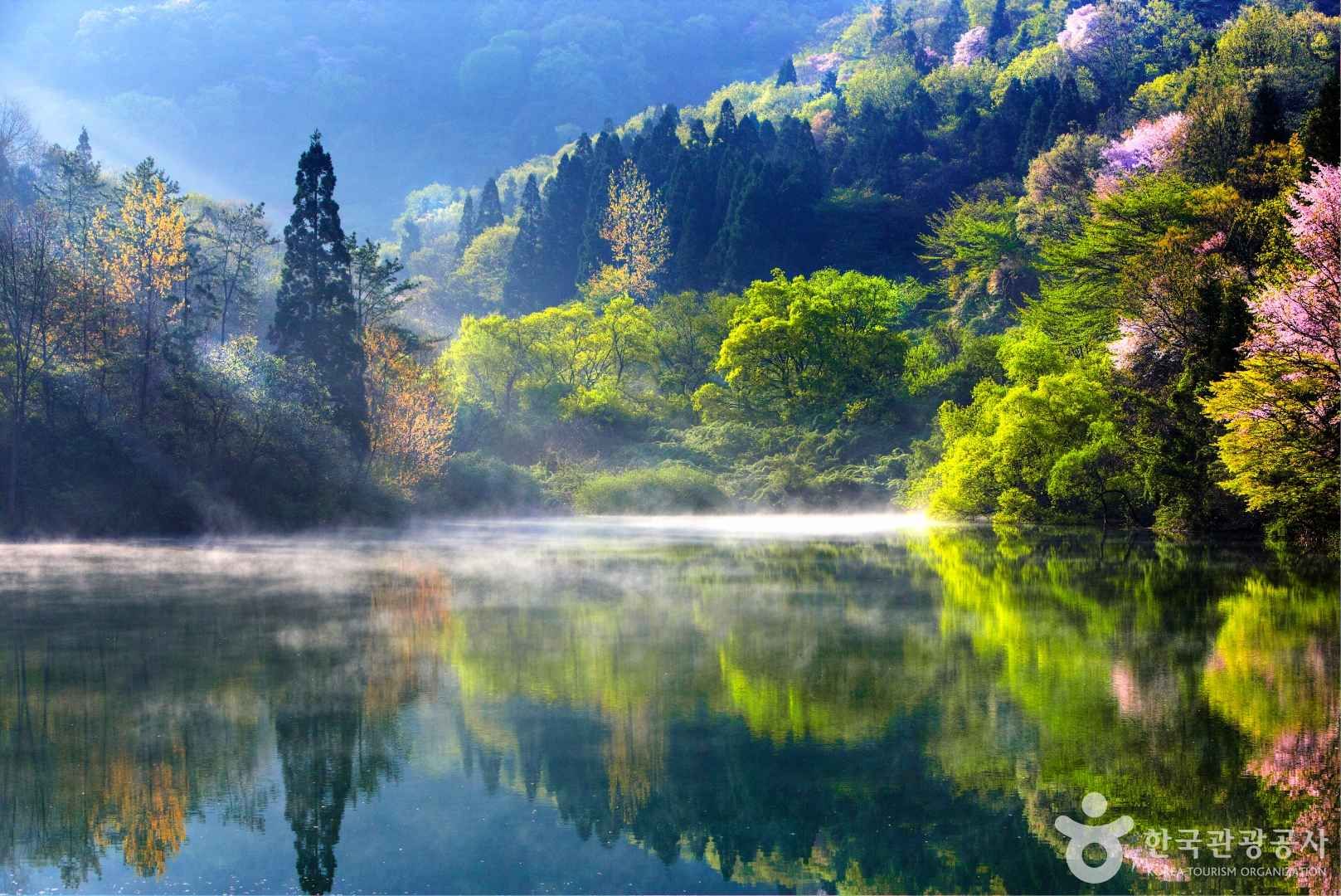 세량지의 봄 풍경