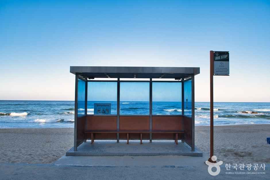 향호해변 관광사진
