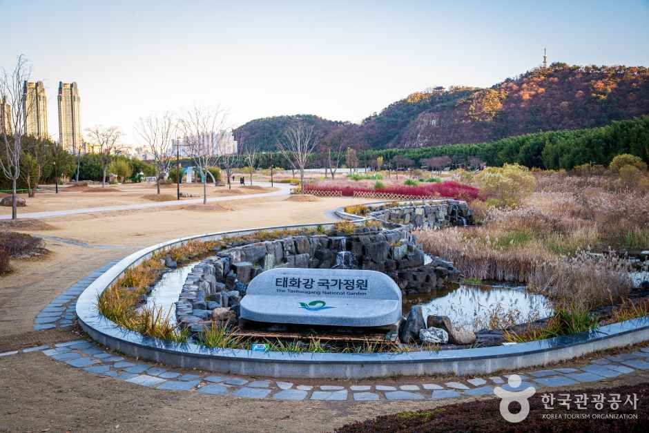 태화강 국가정원 관광사진