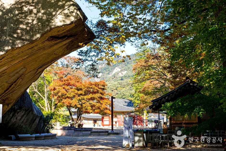 보은 법주사 관광사진