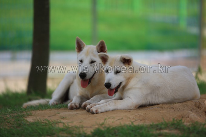 1105847