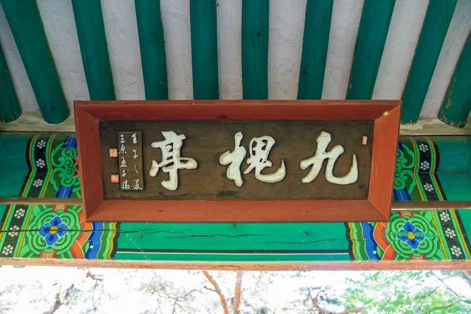 아산 맹씨 행단 관광사진