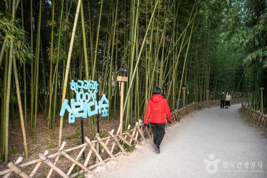 태화강 국가정원 관광사진