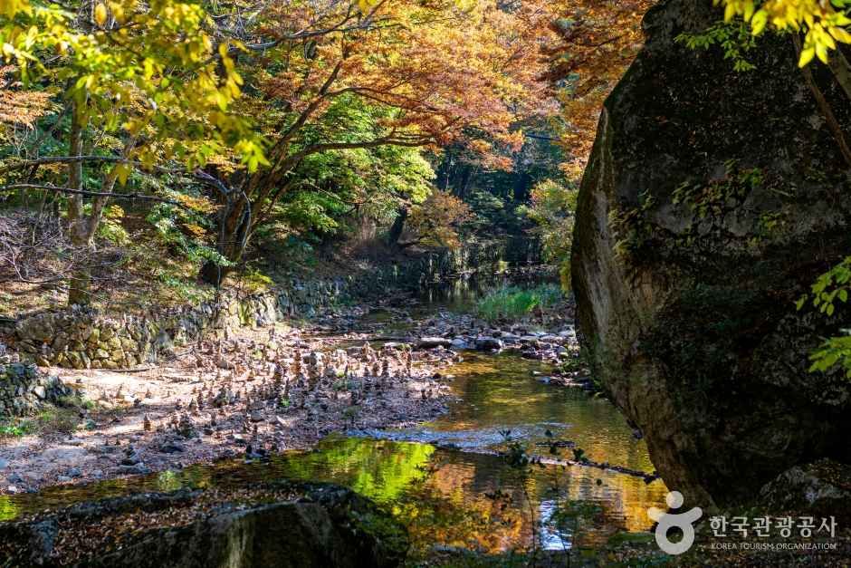 보은 법주사 관광사진