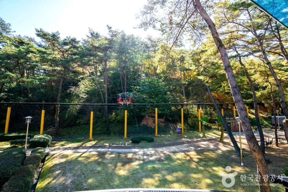 속리산테마파크 관광사진