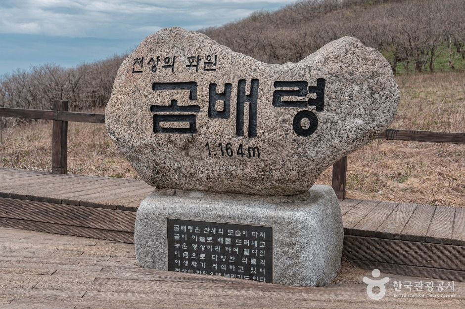 점봉산 곰배령 설악산국립공원 3