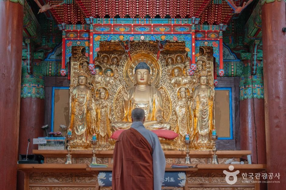 월정사·월정사 전나무숲
