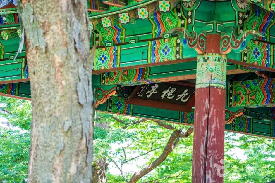 아산 맹씨 행단 관광사진