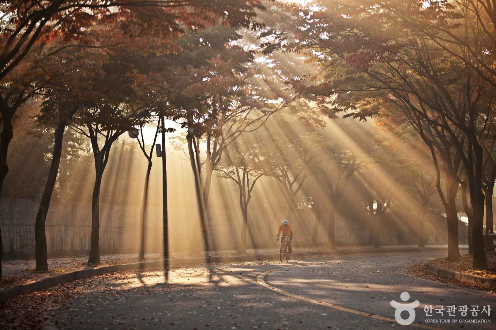 찬란한 아침