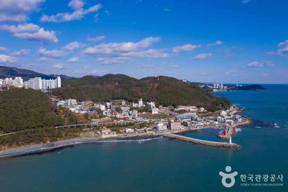 해운대블루라인파크 관광사진