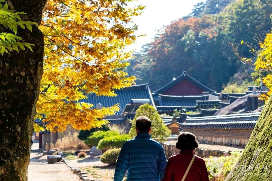 보은 법주사 관광사진