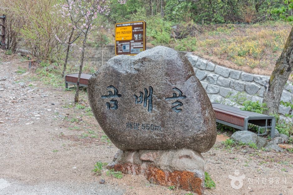 점봉산 곰배령 설악산국립공원 1