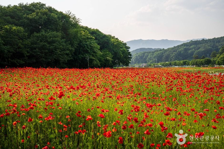 상림공원