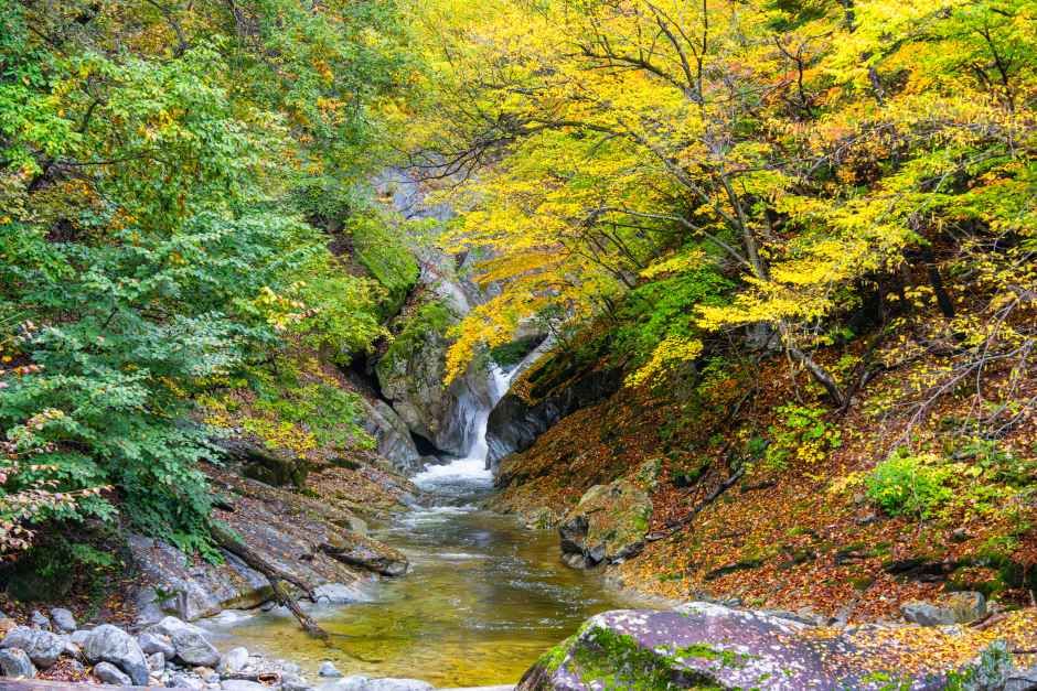 설악산 계곡 - 강원도여행 여행