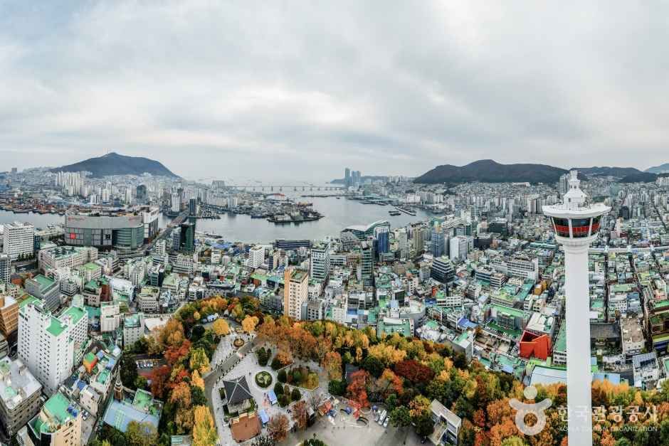 용두산공원 관광사진