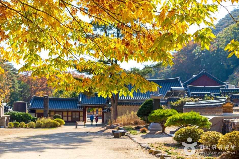 보은 법주사 관광사진