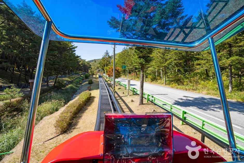 속리산테마파크 관광사진