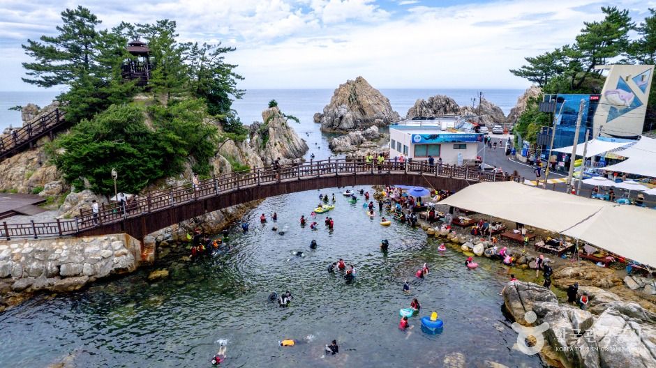 장호해변·장호항 사진 4