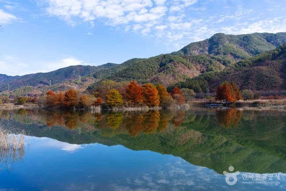 무주반딧불축제 이미지