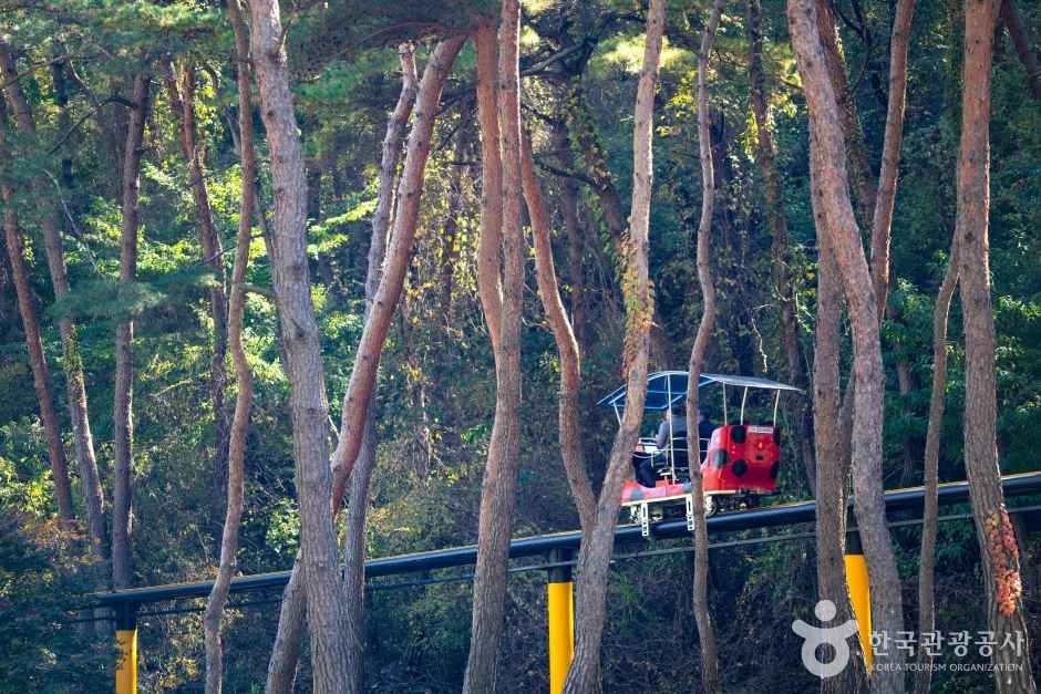 속리산테마파크 관광사진
