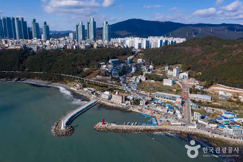 해운대블루라인파크 관광사진