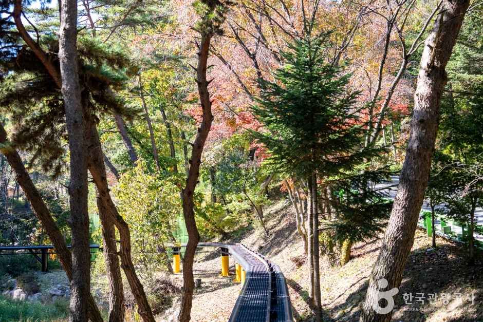 속리산테마파크 관광사진