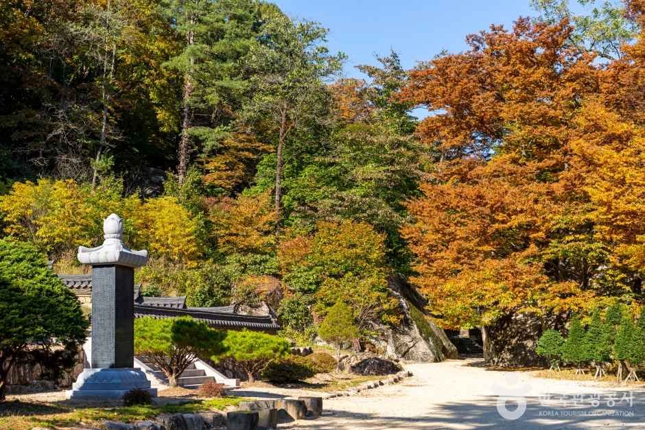 보은 법주사 관광사진