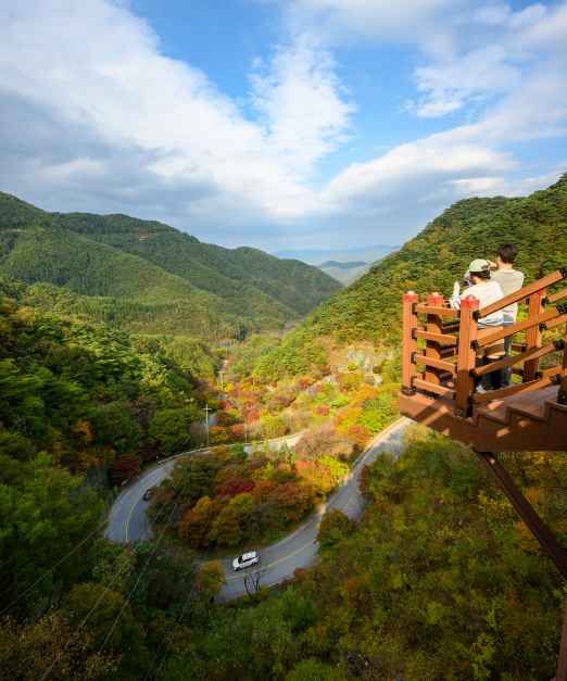 시장 충북 음성군 업체 이미지