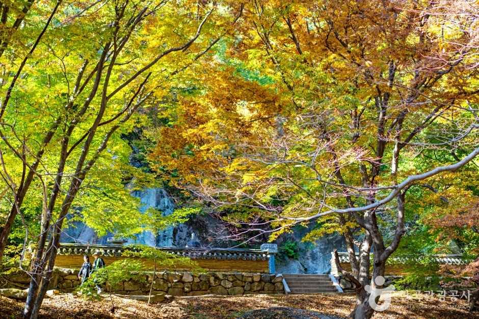 보은 법주사 관광사진