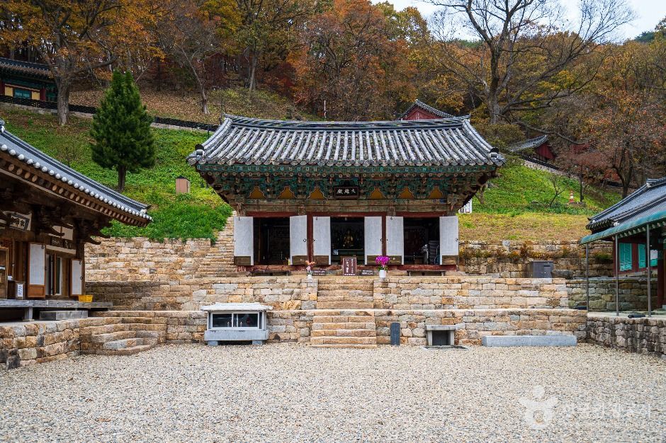 장곡사(청양) - 충청남도 청양군 대치면 장곡길 241 관광 명소
