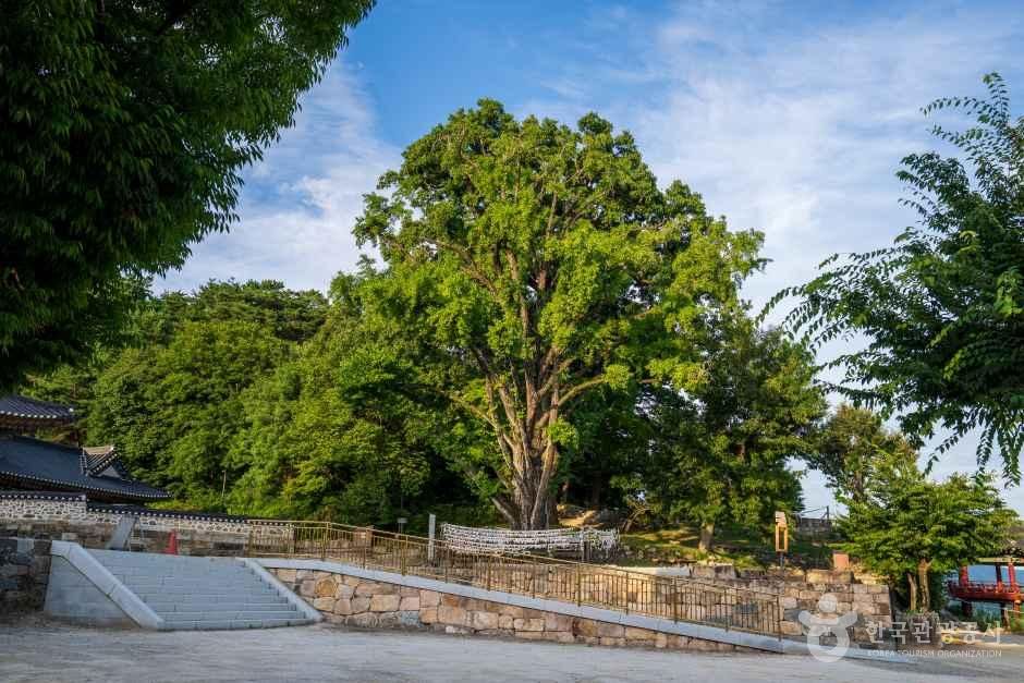 신륵사(여주)