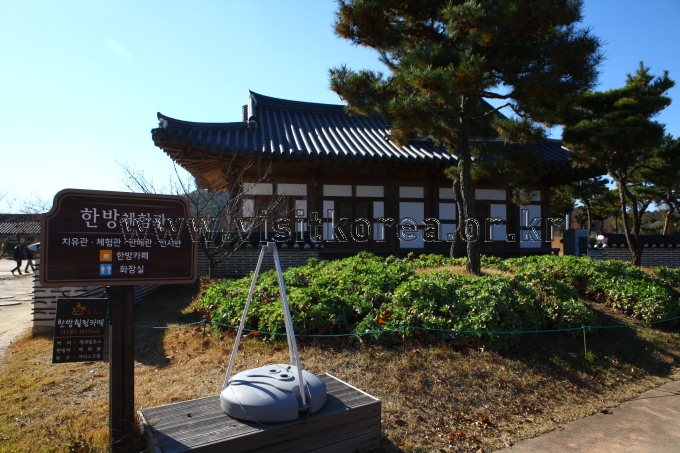 순천만국가정원 관광사진