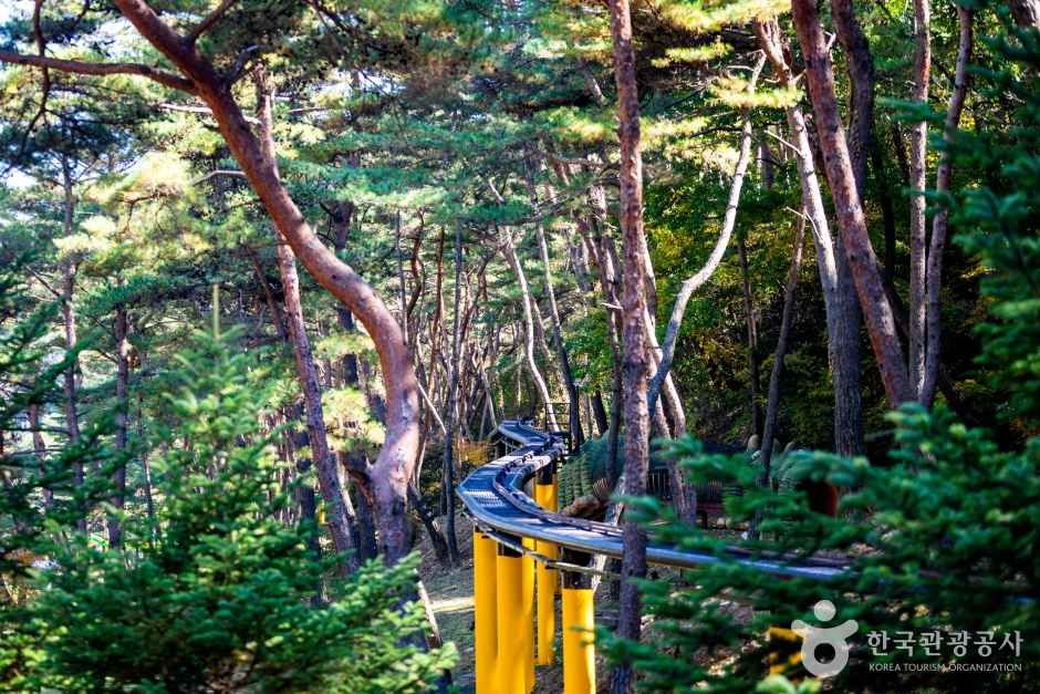 속리산테마파크 관광사진