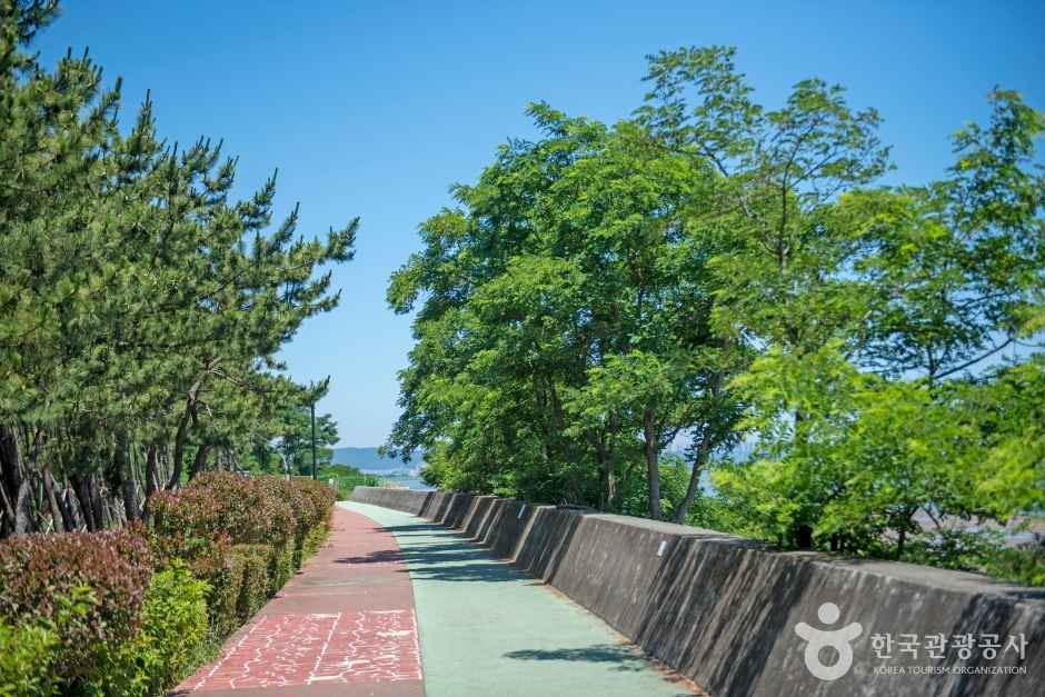 강서구 신호동 관광사진