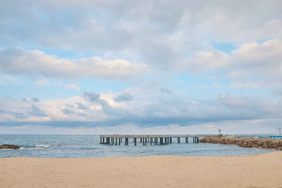 그리너리팜 강원도 횡성군 업체 이미지