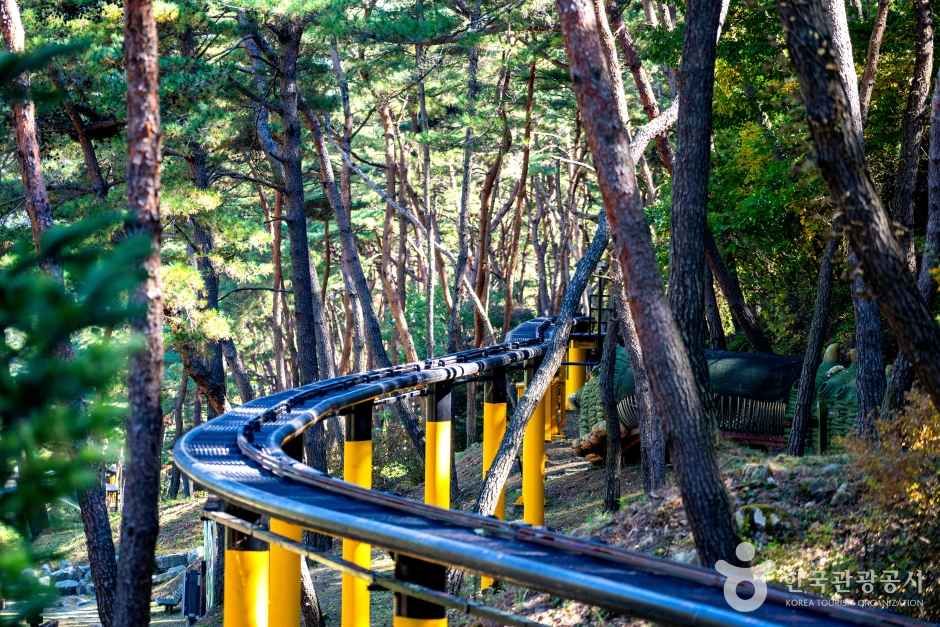 속리산테마파크 관광사진