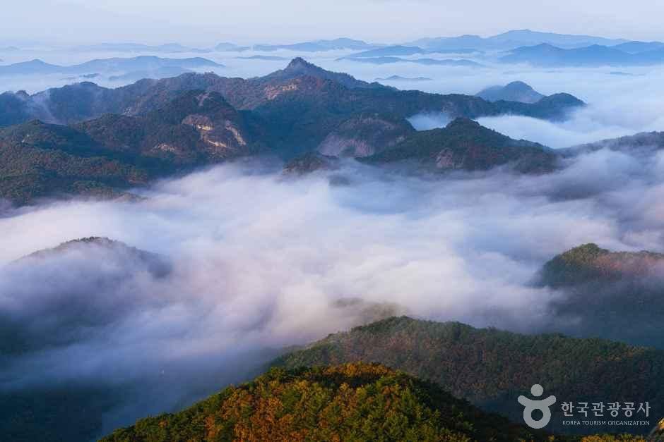 무주반딧불축제 이미지