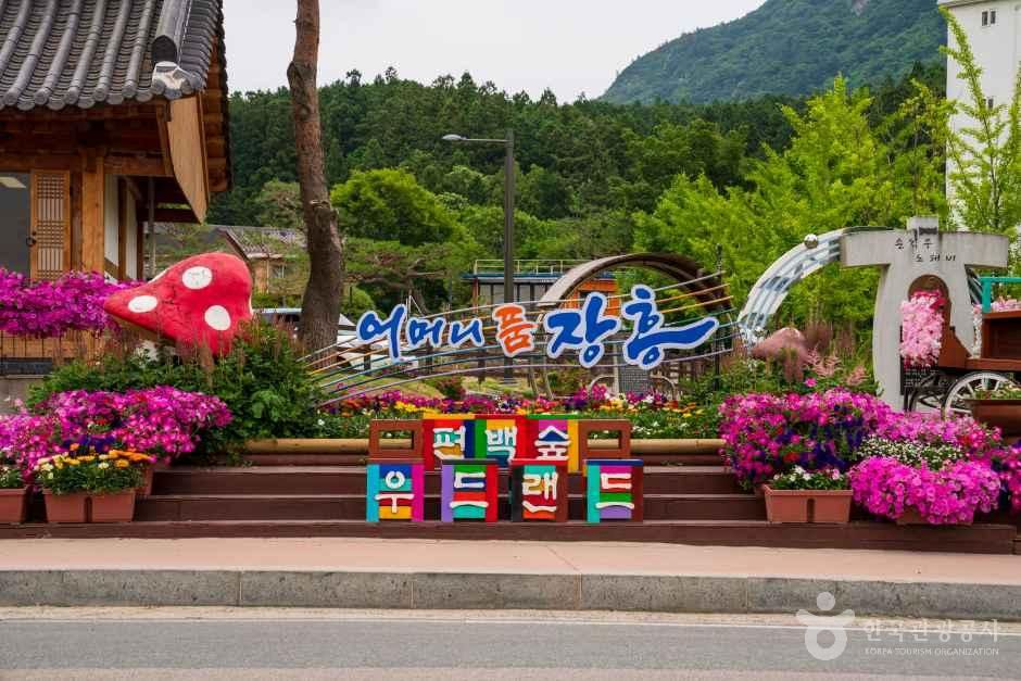 정남진 편백숲 우드랜드