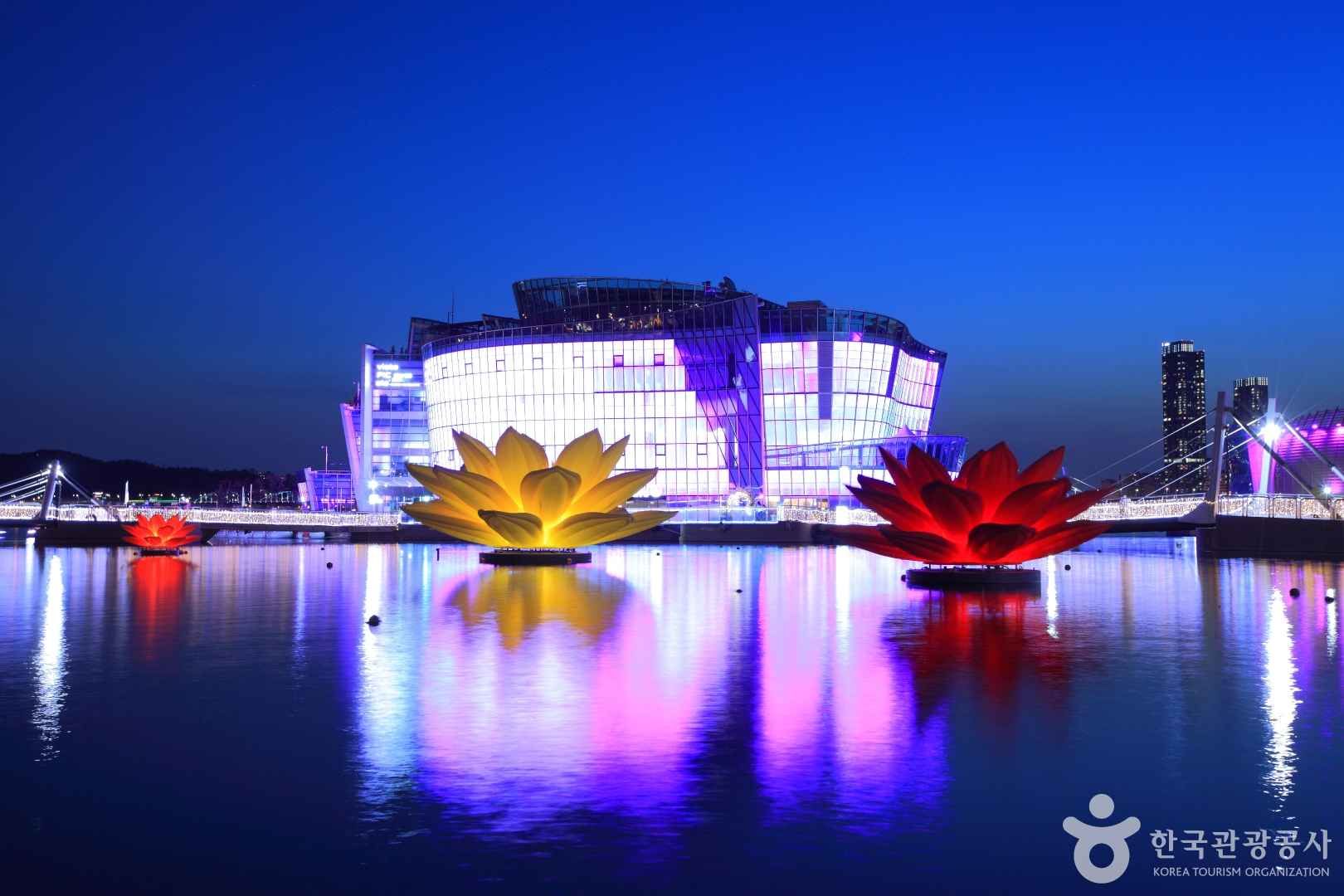 한강에 연꽃이 피다.