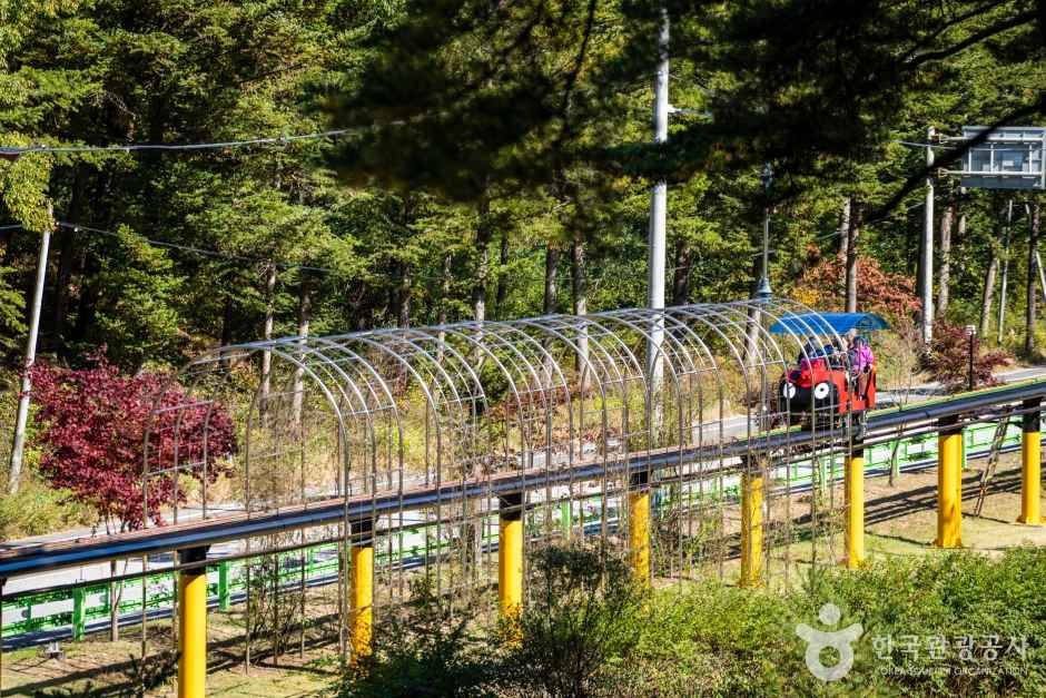 속리산테마파크 관광사진