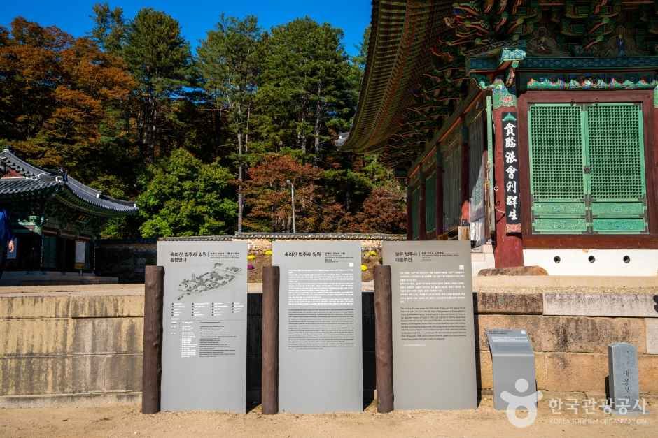 보은 법주사 관광사진