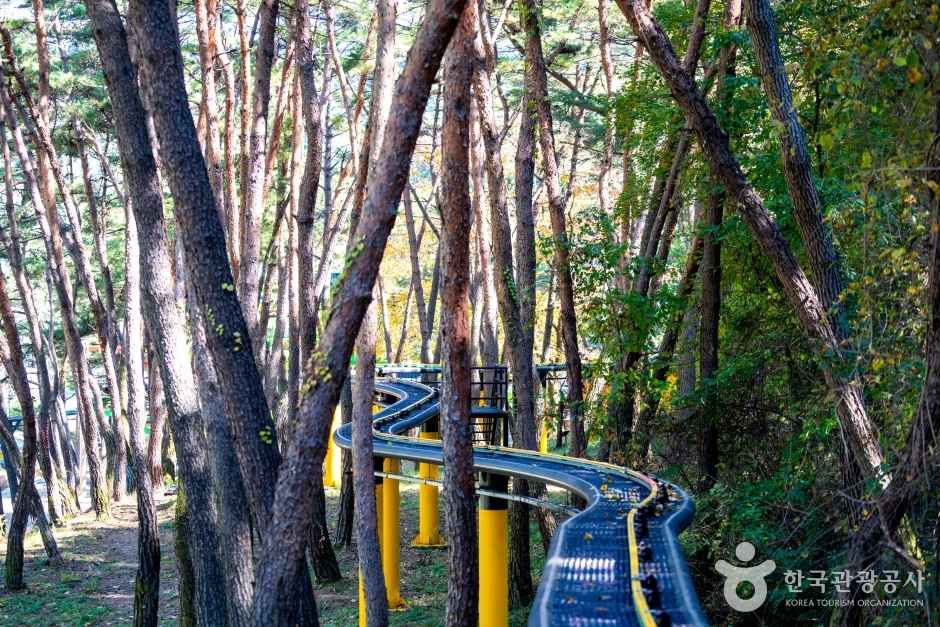 속리산테마파크 관광사진