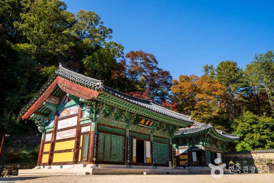 보은 법주사 관광사진