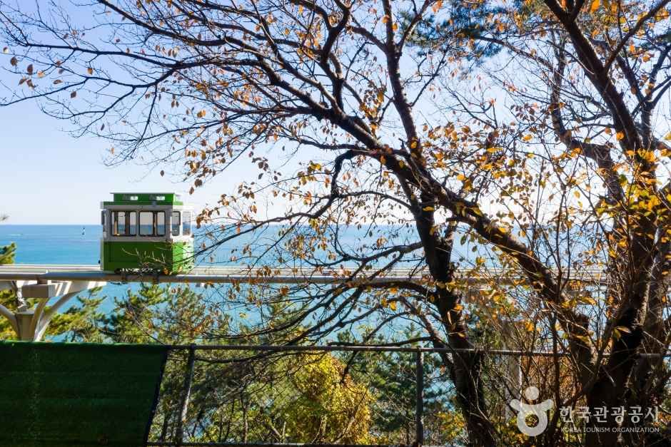 해운대블루라인파크 관광사진