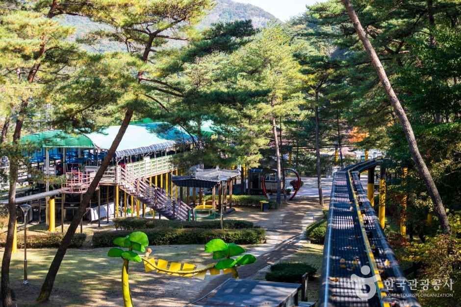 속리산테마파크 관광사진