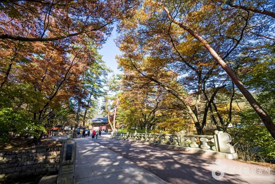 보은 법주사 관광사진
