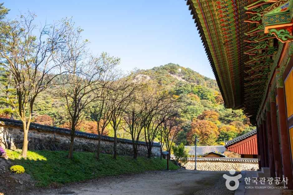 보은 법주사 관광사진