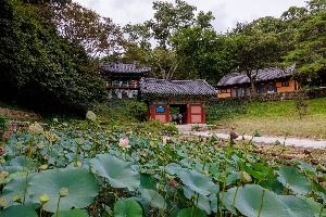 도피안사(철원)